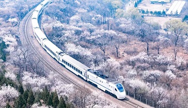 當下塗料行業和企業麵臨的機遇與挑戰