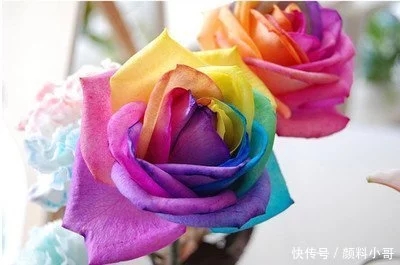 進博會的成功舉辦對塗料顏料市場的影響分析