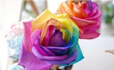 日韩乱码人妻无码超清蜜桃發展情景怎麽樣？